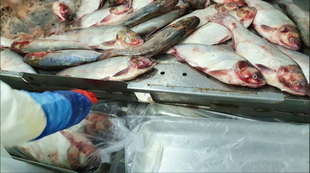 WhatsApp Image 2025-09-14 at 3.56.57 PM (1) - Copy